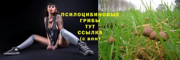 apvp Дмитров