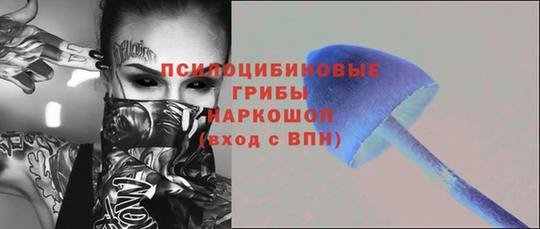 apvp Дмитров