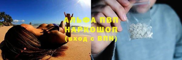 эйфоретик Дмитриев