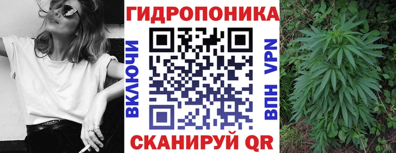 Купить закладки  Сасово  Бошки марихуана семена 